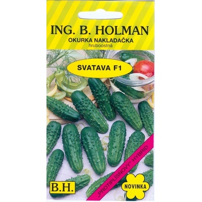 Okurka nakládačka Holman Svatava F1 hr