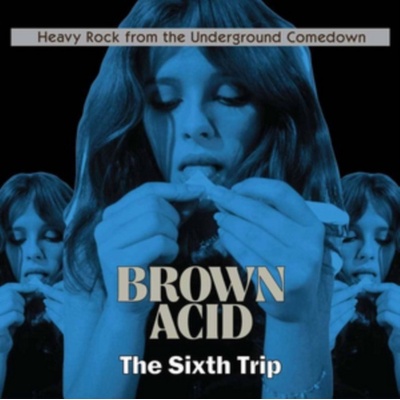 V/A - BROWN ACID: SIXTH TRIP LP