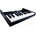 Roland Boutique K-25m