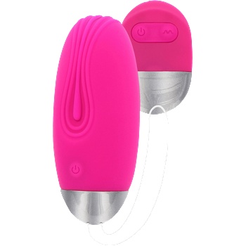 ToyJoy ToyJoy Funky Fun Toys Funky Remote Egg