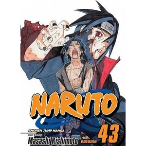 Naruto, Vol. 43 (ISBN: 9781421529295)