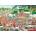 Falcon - Puzzle Summer Music Festival - 1 000 piese