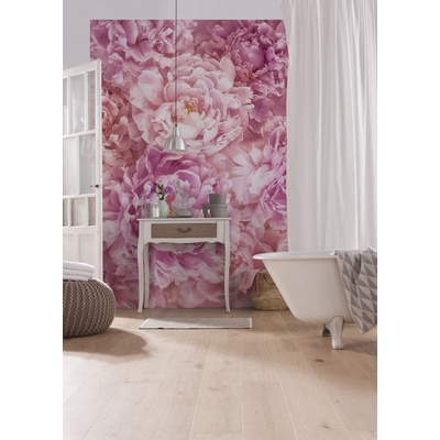 Komar XXL2-009 Vliesová fototapeta Soave pivoňky rozměry 184x248 cm