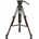 Cartoni Focus 12