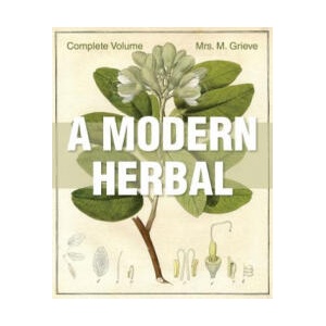 Modern Herbal | Margaret Grieve (ISBN: 9781626542235)