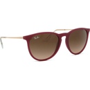 Ray-Ban Erika RB4171 6815A5