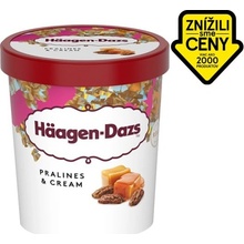 Häagen-Dazs Pekanové orechy + Smotana 460 ml