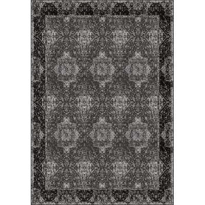 Agnella Isfahan Augustus Grafitový Tmavě šedý