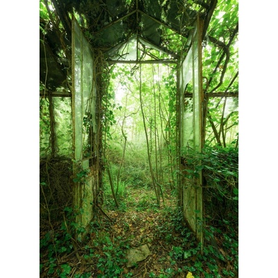 Komar Vliesová fototapeta Greenhouse rozměry 200 x 250 cm