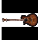 Ibanez AEG70L