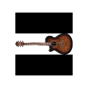 Ibanez AEG70L