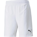 Puma teamFINAL