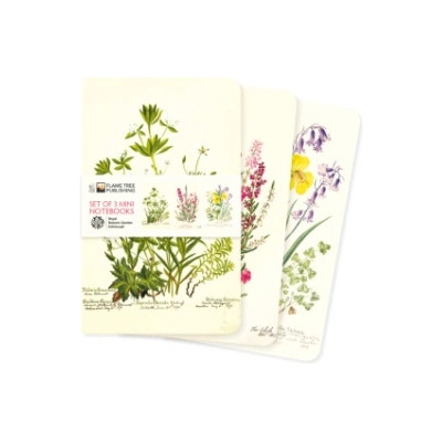 Flame Tree Publishing Royal Botanic Garden Edinburgh Set of 3 Mini Notebooks | Flame Tree Publishing