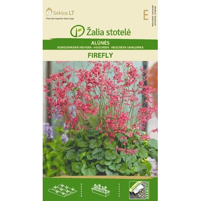 Seklos Хойхера Firefly Heuchera sanguinea