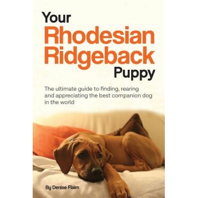 Your Rhodesian Ridgeback Puppy | Flaim Denise Flaim