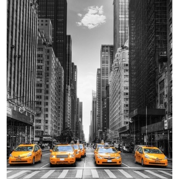Olie's malování podle čísel New York