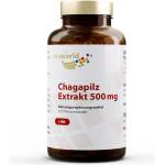 vitaworld Chagapilz extrakt / Чага 500 mg, 100 капсули (10997974 VW)