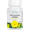 Kotvičník zemní 60 kapslí
