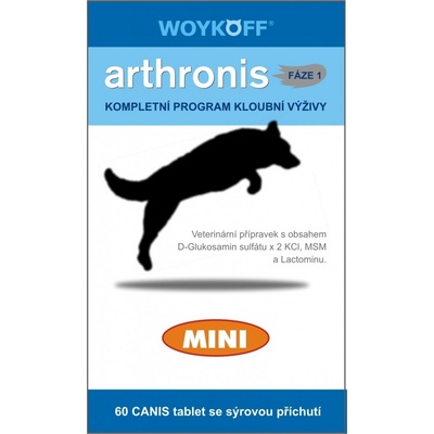Arthronis fáza 1 Mini 60 tbl