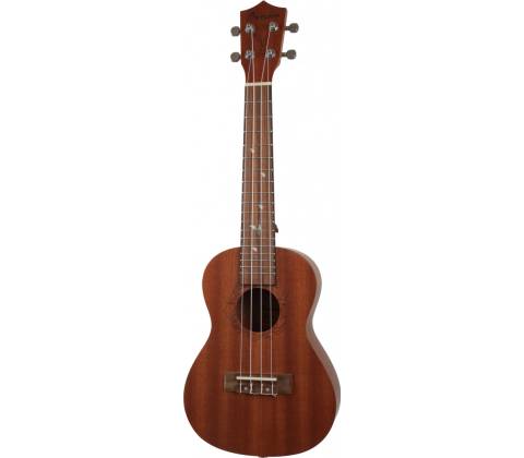 Bamboo Eco 23