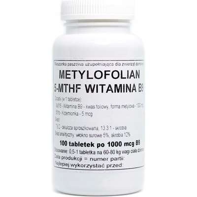 Podkowa Vitamín B9 100 tablet