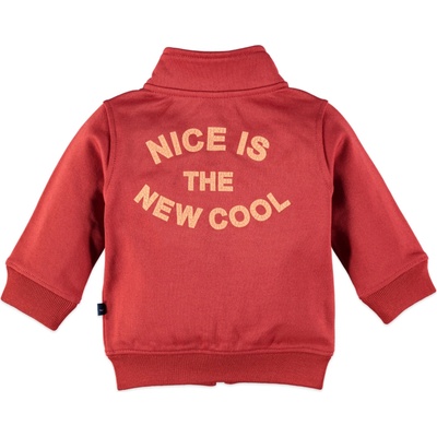 Babyface Детски суитшърт за момче Babyface с цип