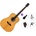 Pasadena PD-350 Premium SET Natural Gloss Акустична китара