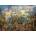 Educa - Puzzle Dream Town - 8 000 piese