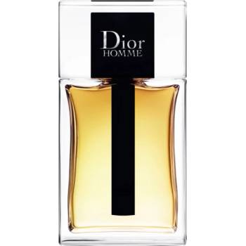 Christian Dior Dior Homme 2020 toaletná voda pánska 150 ml