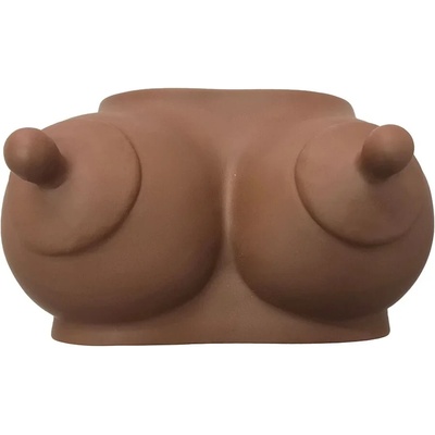 Касичка женски гърди, забавно спестяване - Bank Boobs Brown (D-244785)