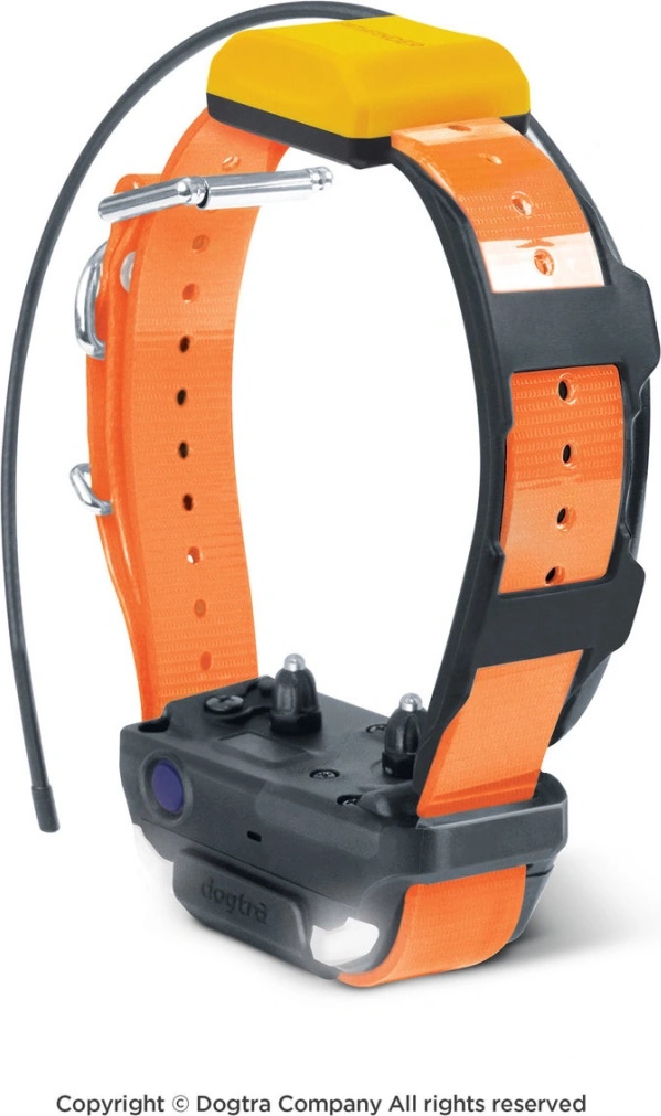 Dogtra Pathfinder 2