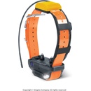 Dogtra Pathfinder 2