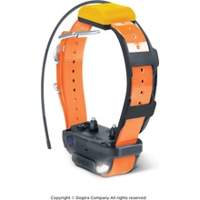 Dogtra Pathfinder 2