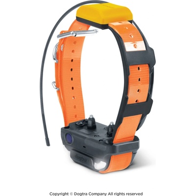 Dogtra Pathfinder 2