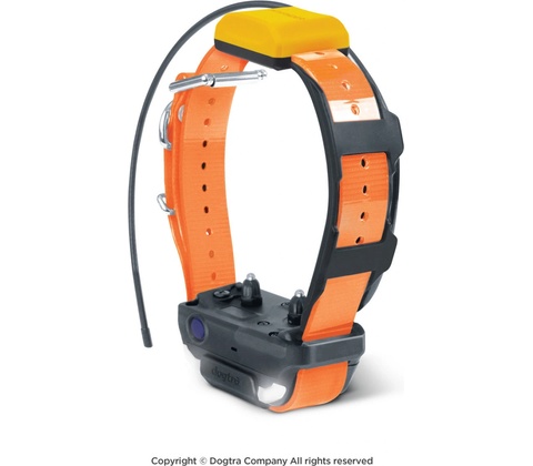 Dogtra Pathfinder 2