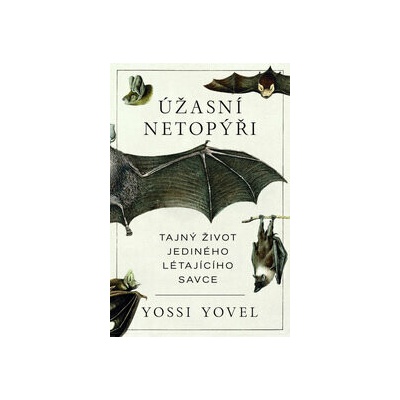 Úžasní netopýři - Yossi Yovel