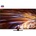Samsung QE75QN95D