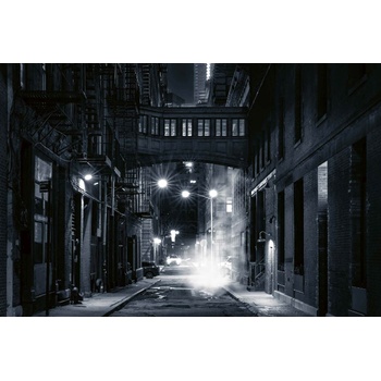 DIMEX ART s. r. o Флизелинов фототапет монохромен изглед 375 x 250 см