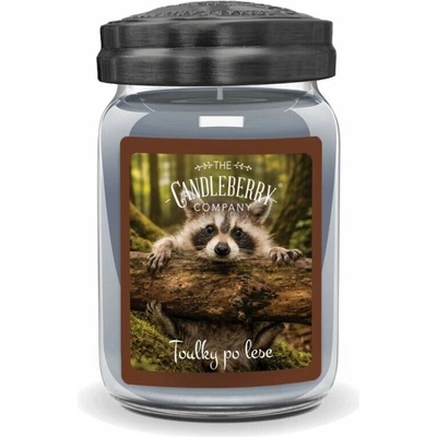 Candleberry Toulky po lese 624 g