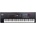 Roland Fantom 7 EX