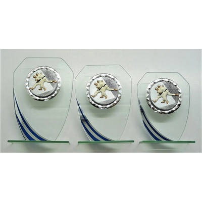 VIZINGR Judo sklo K11-FG004 21,5 cm