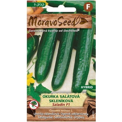 Okurka salátová skleníková SALADIN F1 MoravoSeed