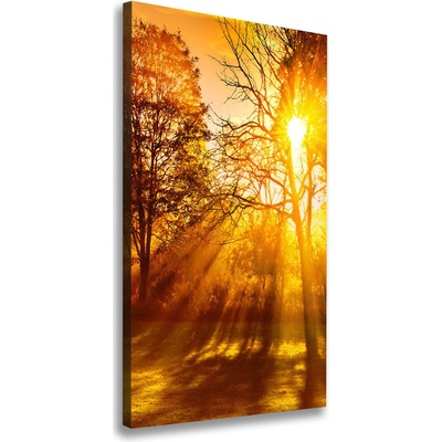 Vertikálny foto obraz na plátne Jesenný park 50x100 cm