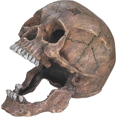 Nobby Scull 13,5x20x16,5 cm