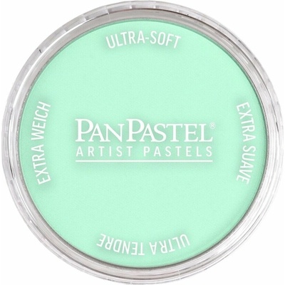PanPastel Artists suchý pastel 956.5 pearlescent green