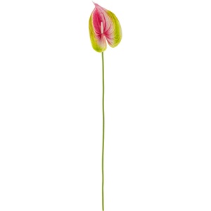 Bloomingville Изкуствено цвете Bloomingville антуриум (82061542)