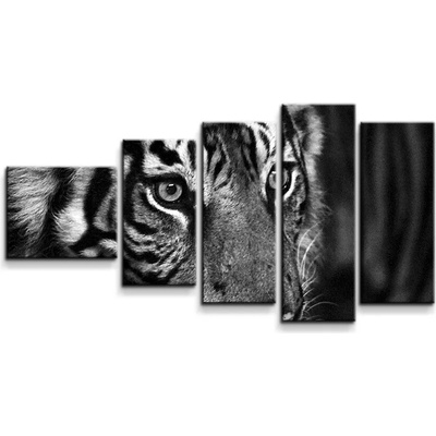 Sablio Obraz - 5-dílný Čiernobiely tiger - 100x60 cm