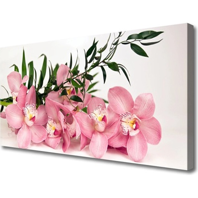 Obraz Canvas Orchidea kvety kúpele 100x50 cm