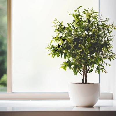 DIMEX ART Статично фолио мъгла 44, 5 x 200 см