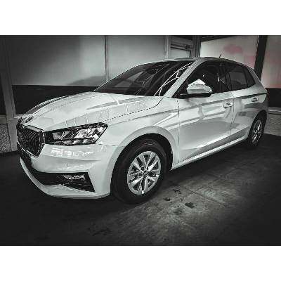 Skoda Fabia 1.0 TSI Selection DSG 85 kW
